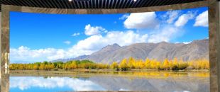 小間距l(xiāng)ed顯示屏未來(lái)的發(fā)展前景怎么樣？